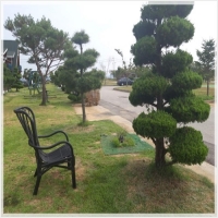 영흥도가족펜션-5235336